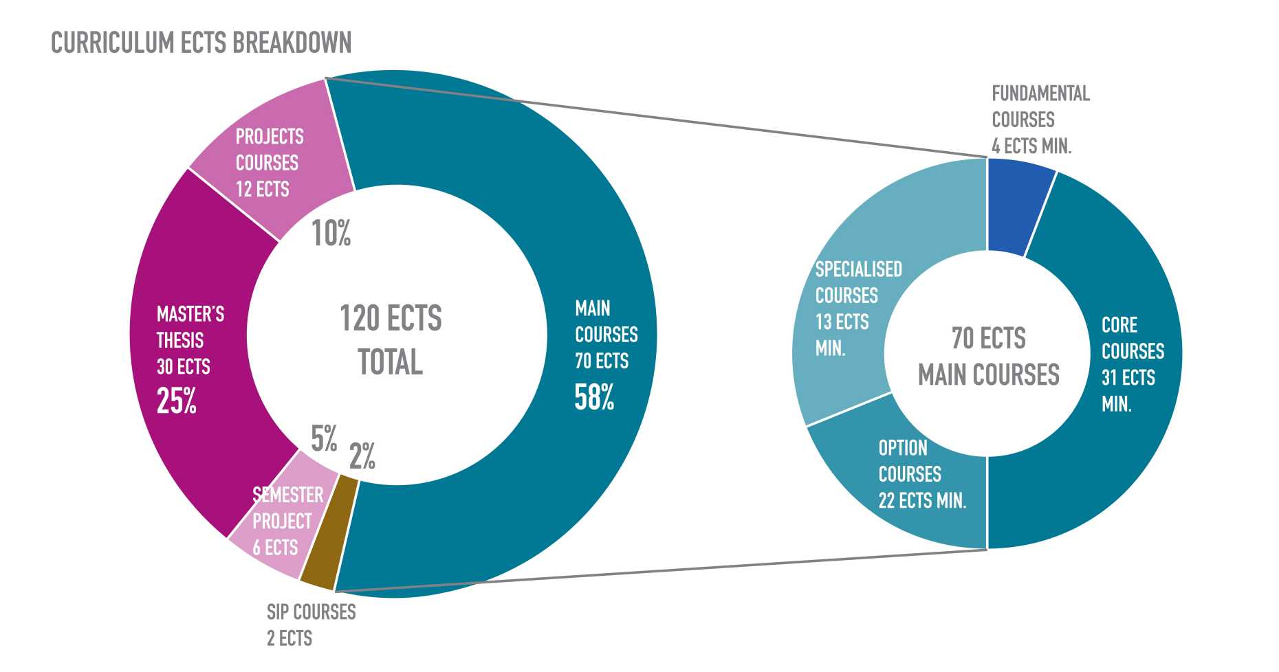 Enlarged view: MIBS Coursework Breakdown